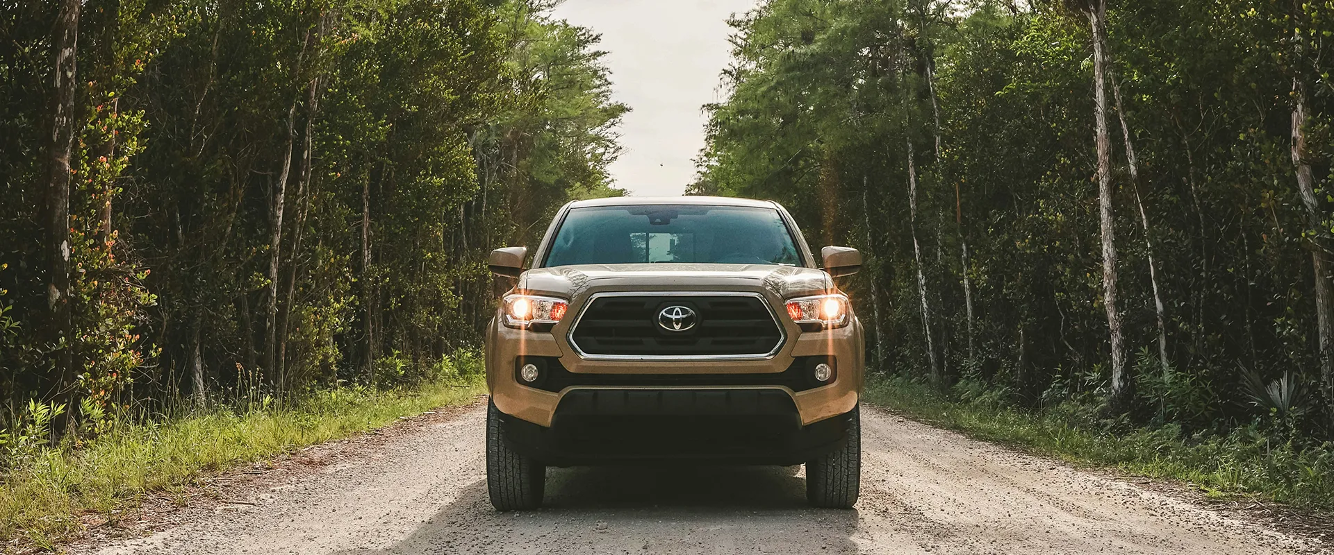 Toyota Repair and Service near Missouri City, TX